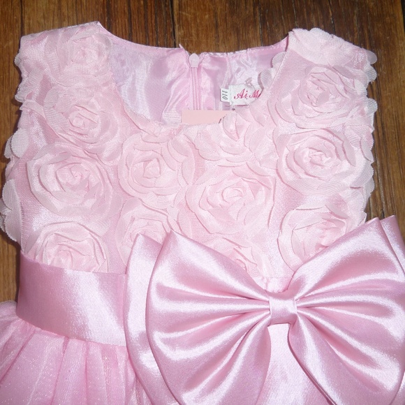 Little Girls Princess Dress Tulle Skirt & Sash Pink Toddler Formal 3/4 - Picture 3 of 8